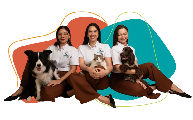 El equipo de Colabella Pet Club con sus mascotas